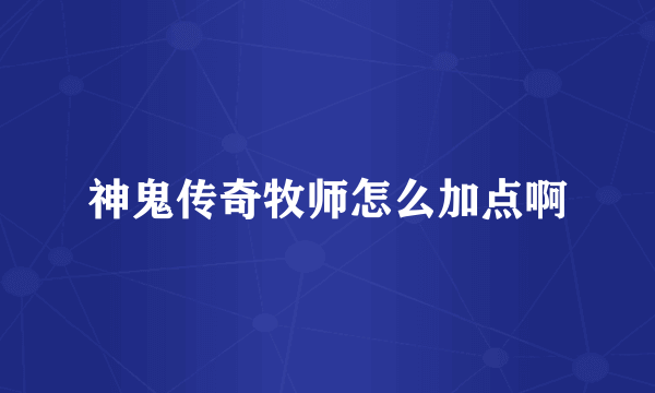 神鬼传奇牧师怎么加点啊