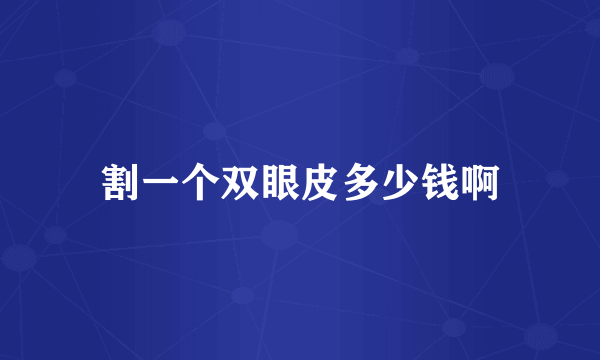 割一个双眼皮多少钱啊