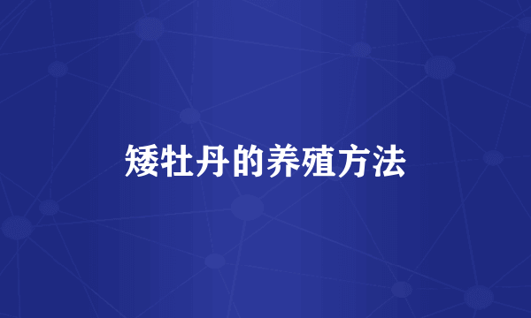 矮牡丹的养殖方法