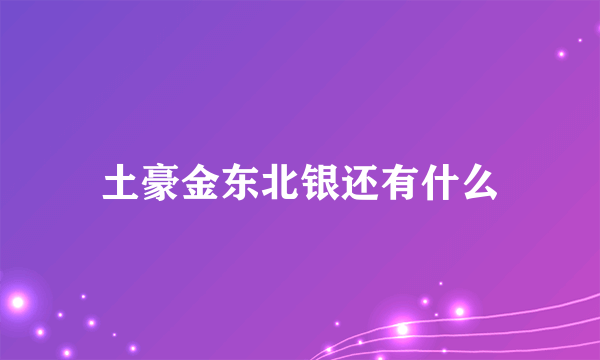 土豪金东北银还有什么