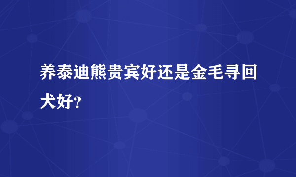 养泰迪熊贵宾好还是金毛寻回犬好？