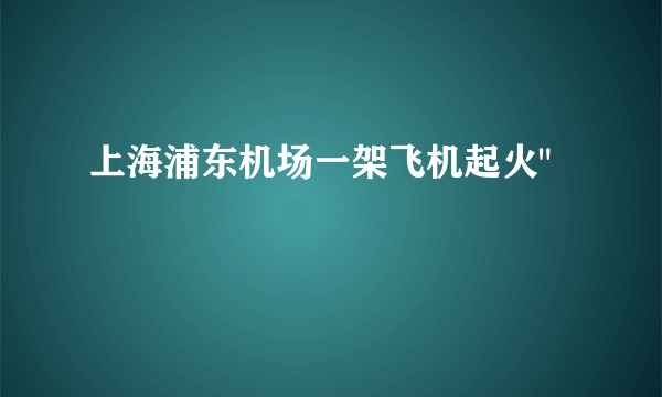 上海浦东机场一架飞机起火
