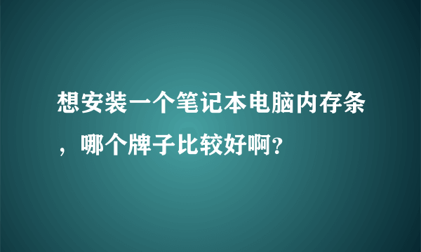 想安装一个笔记本电脑内存条，哪个牌子比较好啊？