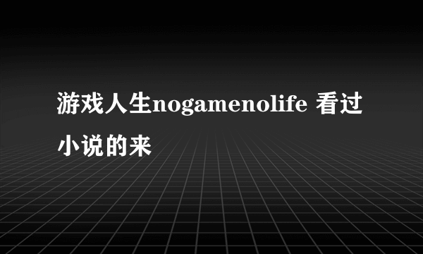 游戏人生nogamenolife 看过小说的来