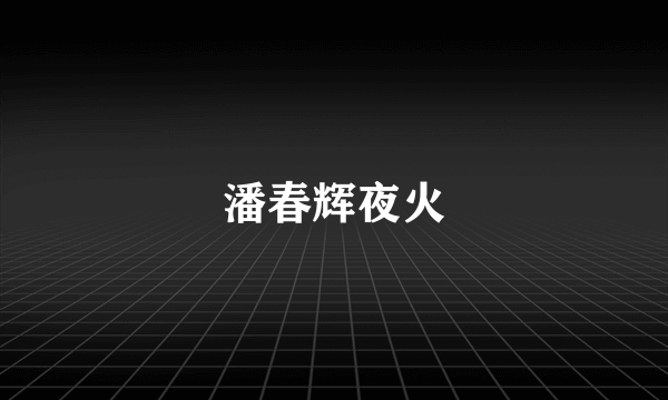 潘春辉夜火