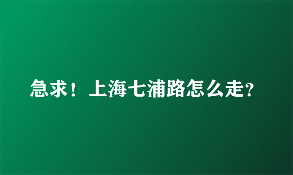 急求！上海七浦路怎么走？