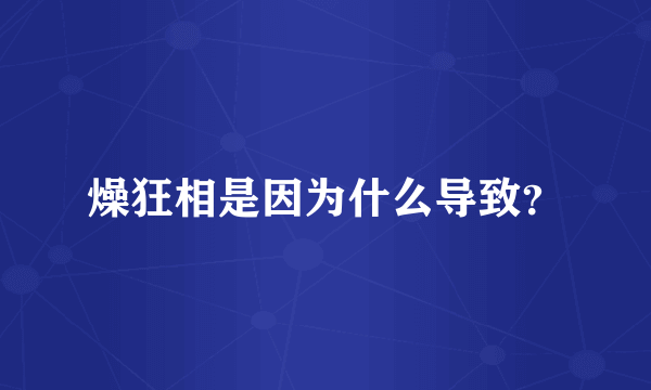 燥狂相是因为什么导致？