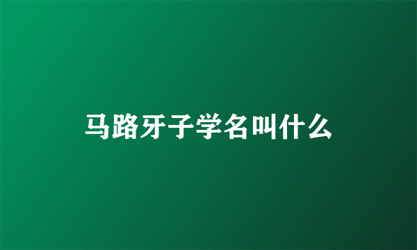 马路牙子学名叫什么