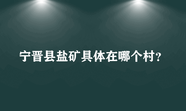 宁晋县盐矿具体在哪个村？