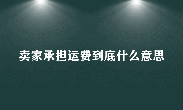 卖家承担运费到底什么意思