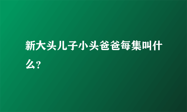 新大头儿子小头爸爸每集叫什么？