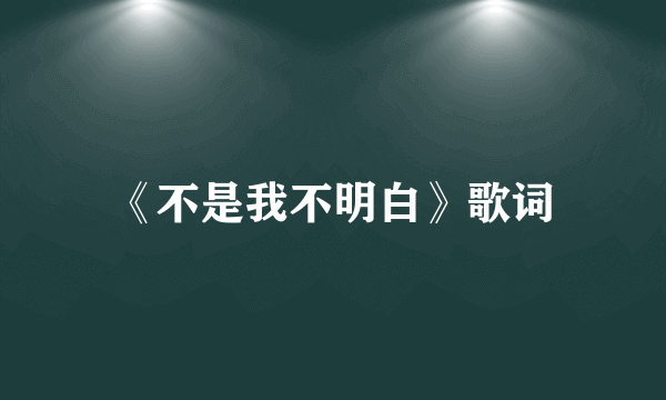 《不是我不明白》歌词