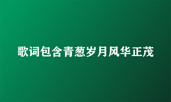 歌词包含青葱岁月风华正茂