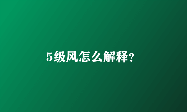 5级风怎么解释？