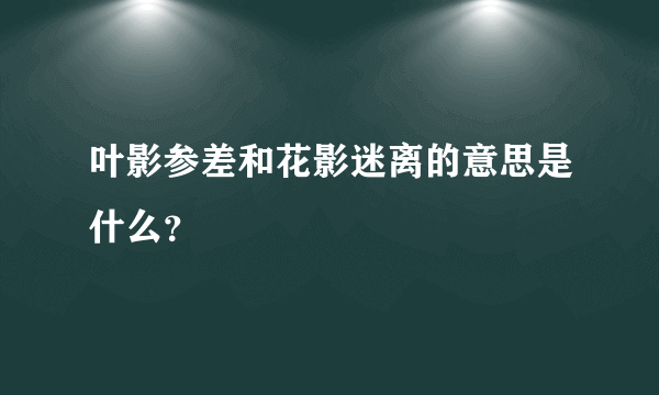 叶影参差和花影迷离的意思是什么？