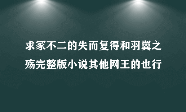 求冢不二的失而复得和羽翼之殇完整版小说其他网王的也行