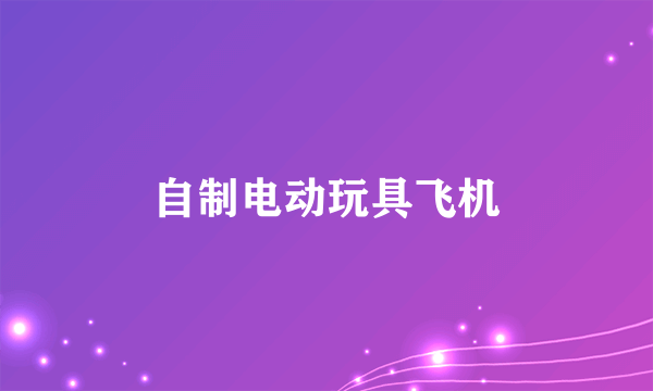 自制电动玩具飞机