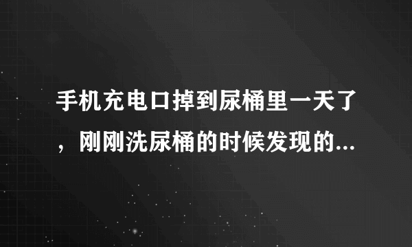手机充电口掉到尿桶里一天了，刚刚洗尿桶的时候发现的，现在该怎么办？