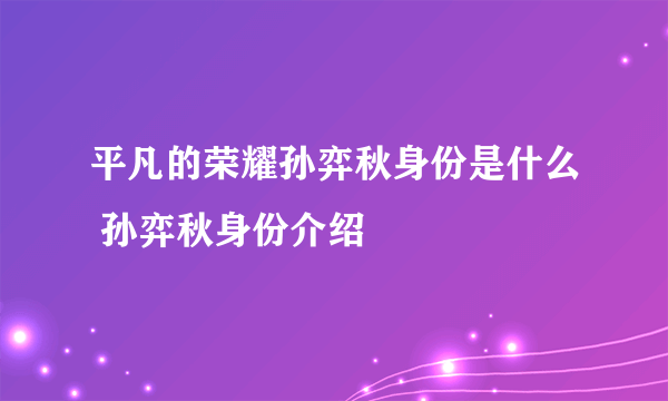 平凡的荣耀孙弈秋身份是什么 孙弈秋身份介绍
