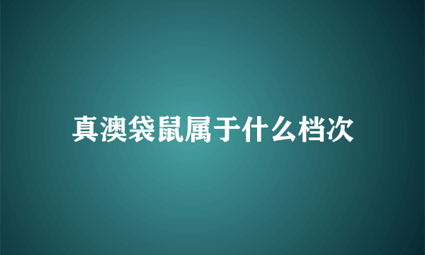 真澳袋鼠属于什么档次