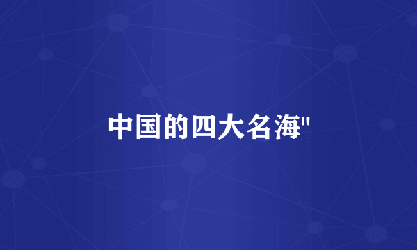 中国的四大名海