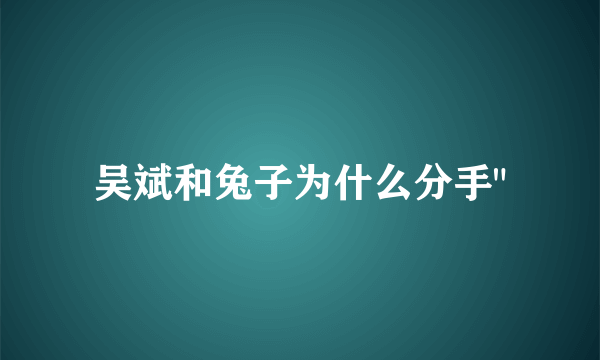 吴斌和兔子为什么分手