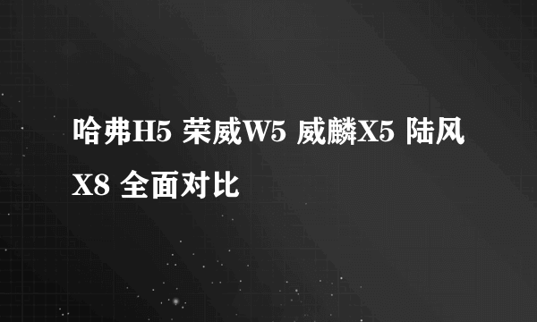 哈弗H5 荣威W5 威麟X5 陆风X8 全面对比