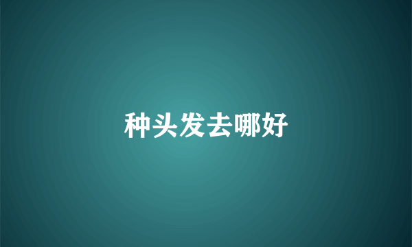 种头发去哪好