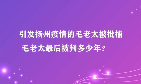 引发扬州疫情的毛老太被批捕 毛老太最后被判多少年？