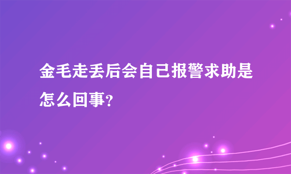 金毛走丢后会自己报警求助是怎么回事？