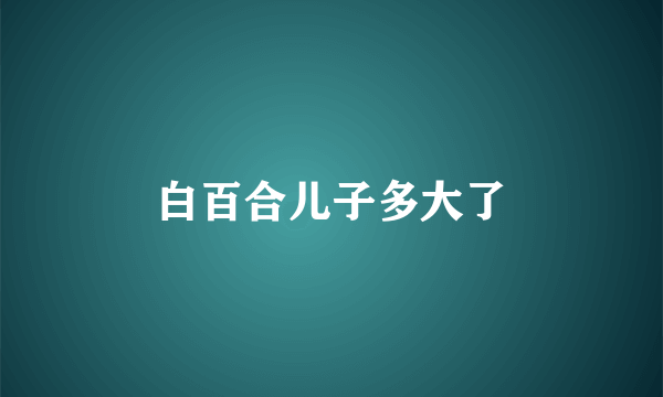 白百合儿子多大了