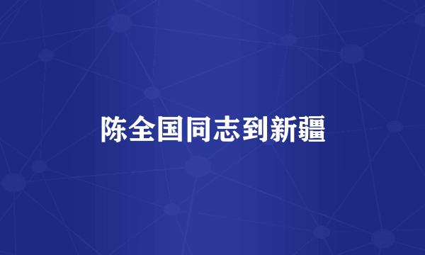 陈全国同志到新疆
