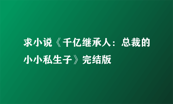 求小说《千亿继承人：总裁的小小私生子》完结版