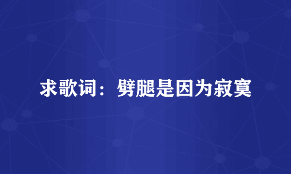 求歌词：劈腿是因为寂寞