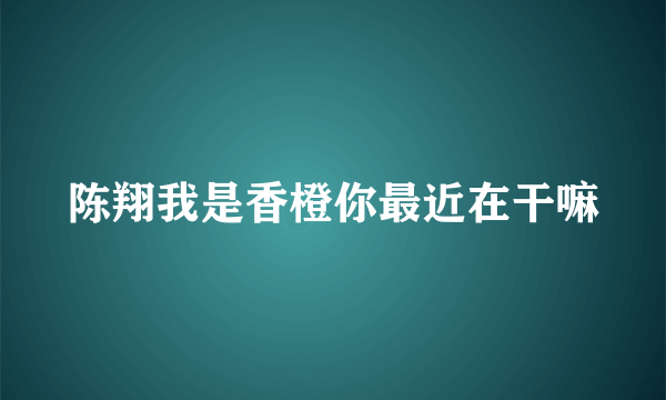 陈翔我是香橙你最近在干嘛