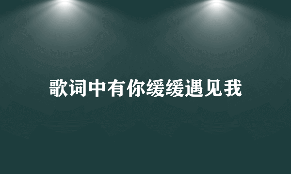 歌词中有你缓缓遇见我