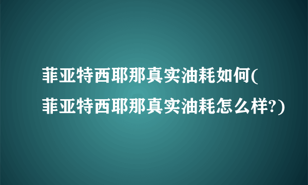 菲亚特西耶那真实油耗如何(菲亚特西耶那真实油耗怎么样?)