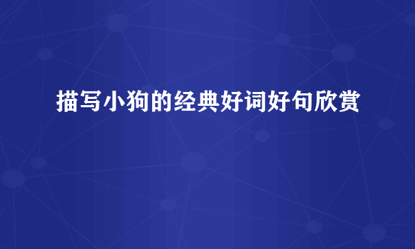 描写小狗的经典好词好句欣赏