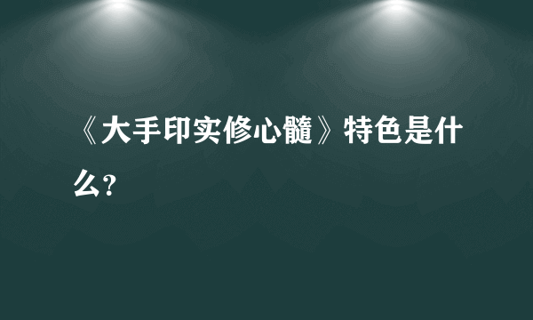 《大手印实修心髓》特色是什么？