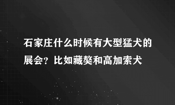 石家庄什么时候有大型猛犬的展会？比如藏獒和高加索犬