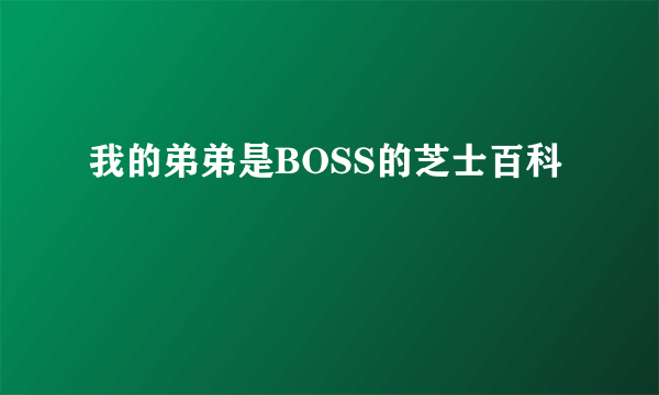 我的弟弟是BOSS的芝士百科