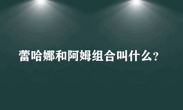 蕾哈娜和阿姆组合叫什么？
