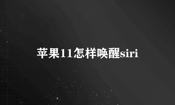 苹果11怎样唤醒siri