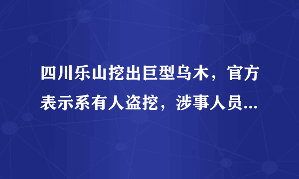 四川乐山挖出巨型乌木，官方表示系有人盗挖，涉事人员将面临哪些处罚？
