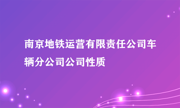 南京地铁运营有限责任公司车辆分公司公司性质