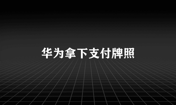 华为拿下支付牌照