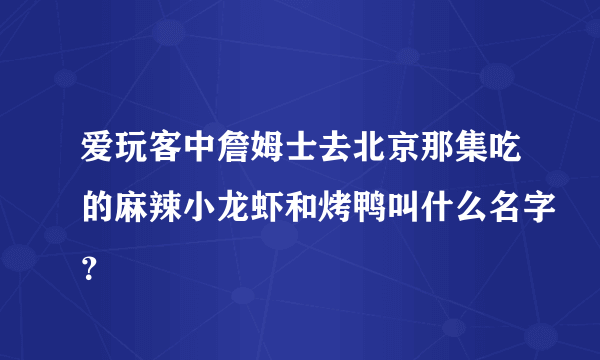 爱玩客中詹姆士去北京那集吃的麻辣小龙虾和烤鸭叫什么名字？
