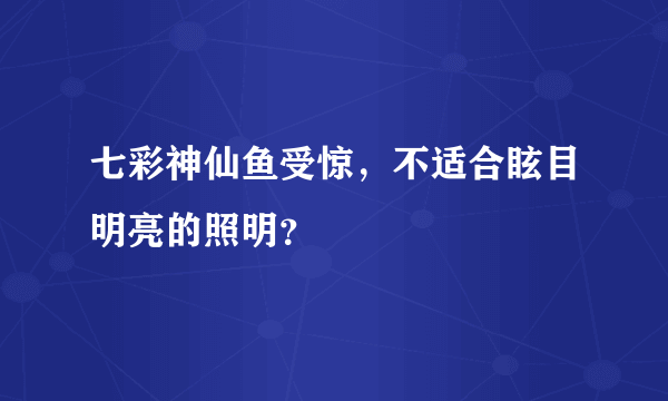 七彩神仙鱼受惊，不适合眩目明亮的照明？