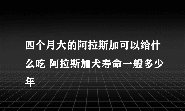 四个月大的阿拉斯加可以给什么吃 阿拉斯加犬寿命一般多少年