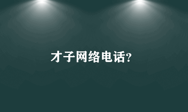 才子网络电话？